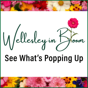 Wellesley Square Merchants