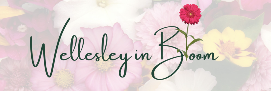 Wellesley in Bloom starts May 2!