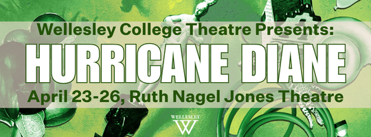 Wellesley College Theatre, Hurricane Diane