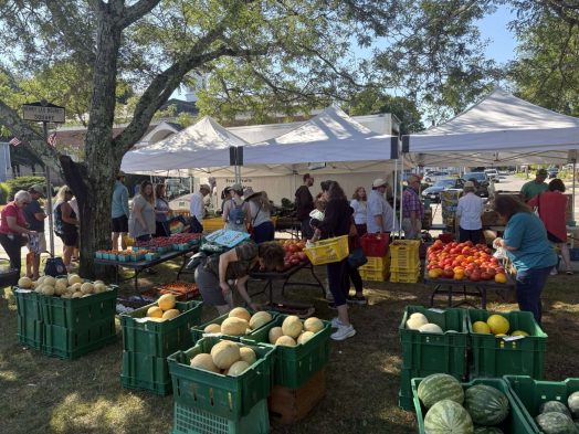 Natick Farmers Market