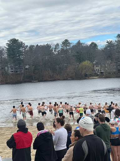 Plunge for Elodie 2026