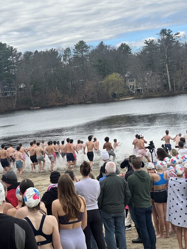 Plunge for Elodie 2026