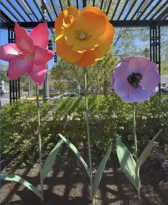 Wellesley In Bloom, Linden Square