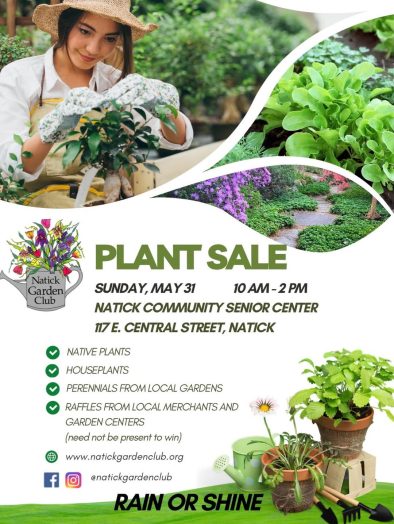 Plant sale, Natick