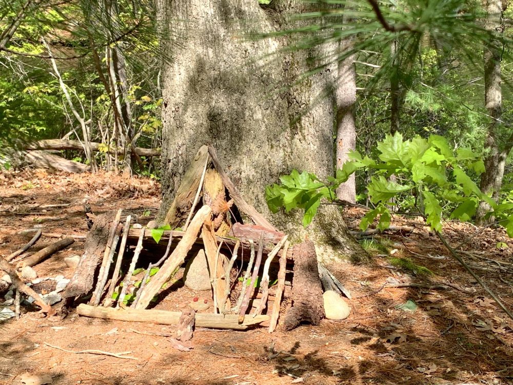 Wellesley Conservation Land Trust, troll and fairy houses