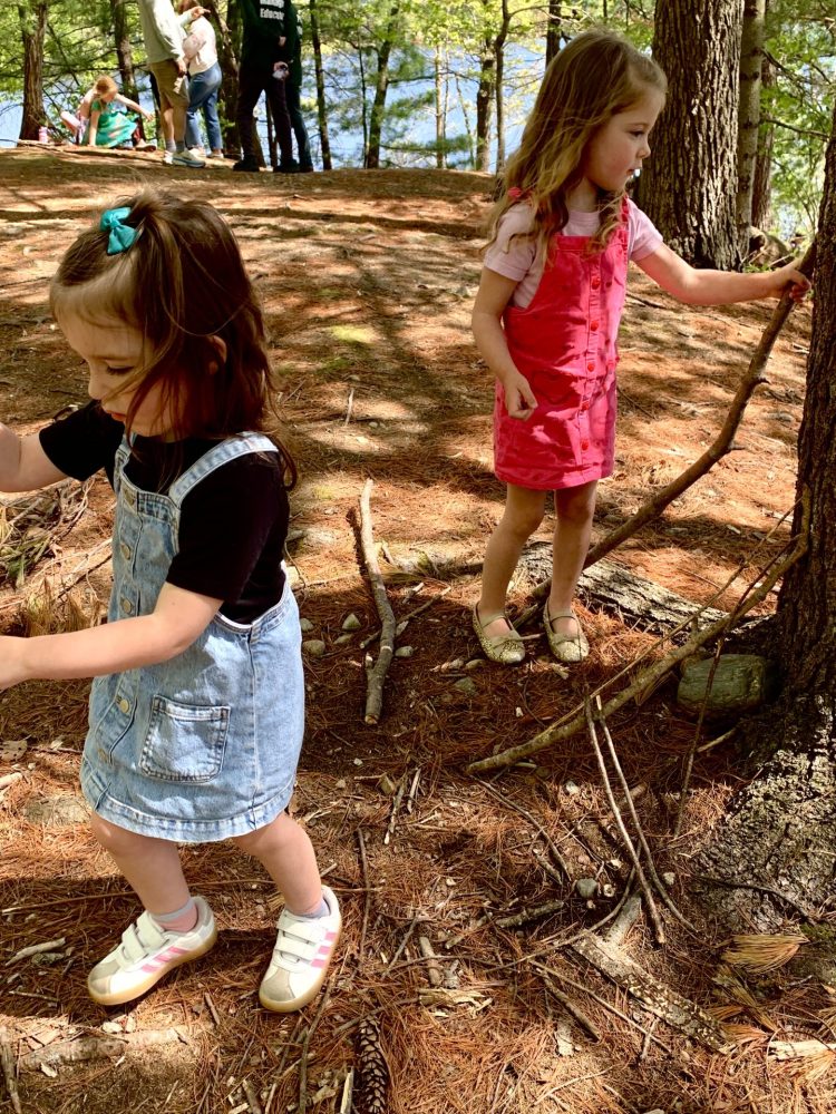 Wellesley Conservation Land Trust, troll and fairy houses