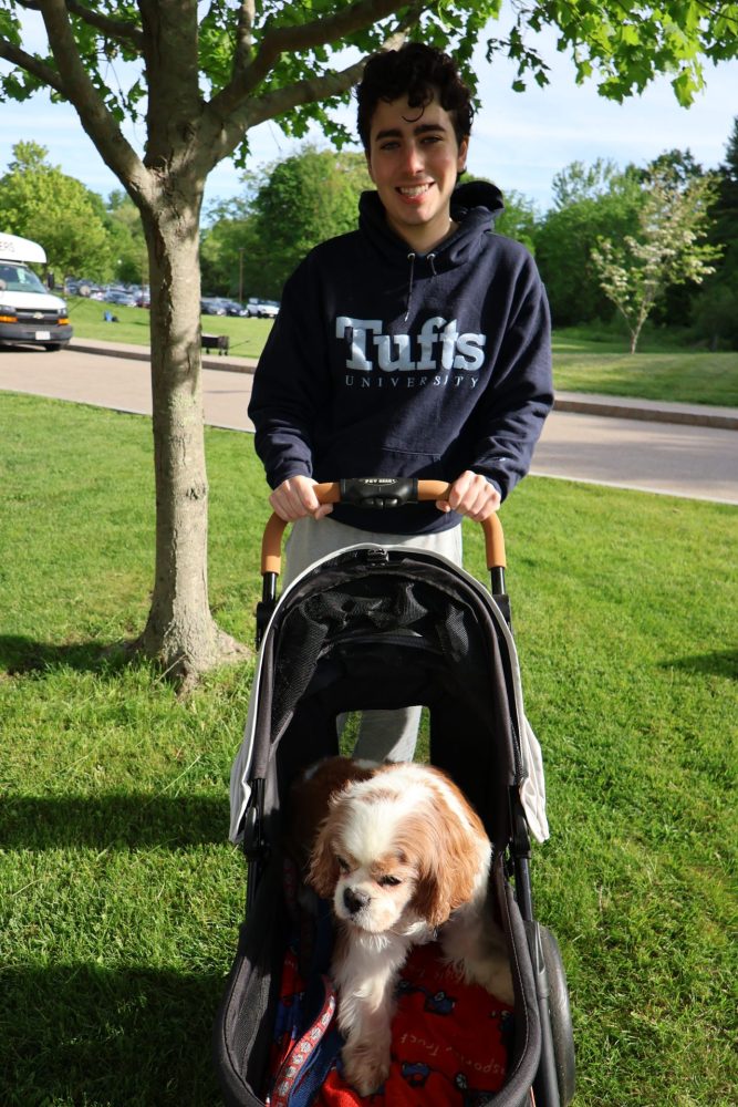 WHS pet parade