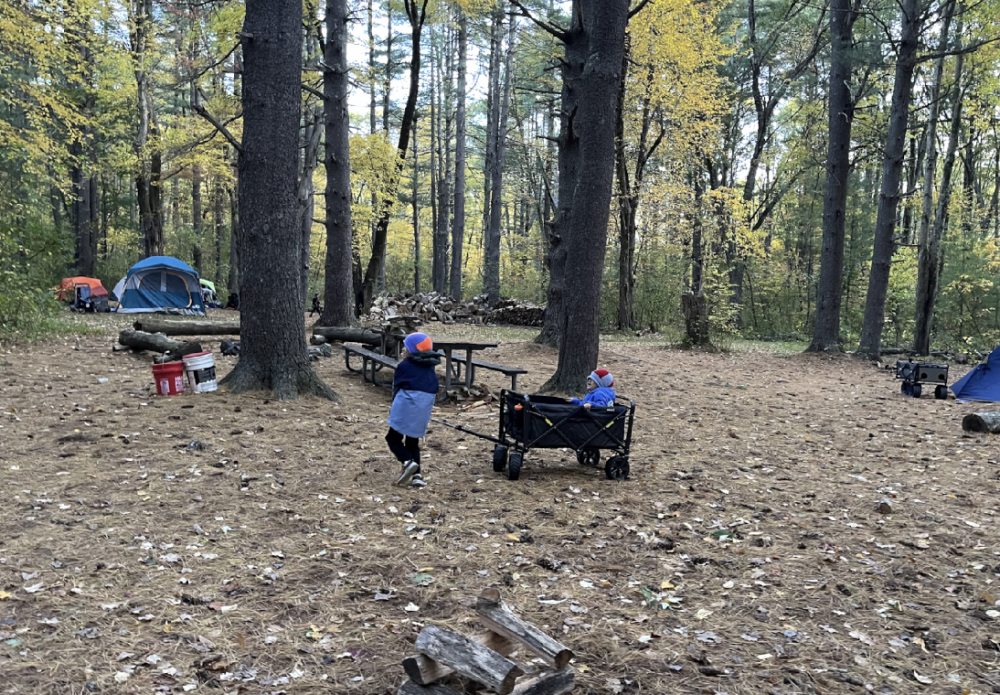 cub scouts