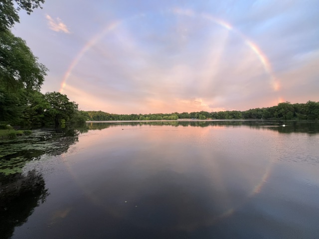 morses rainbow