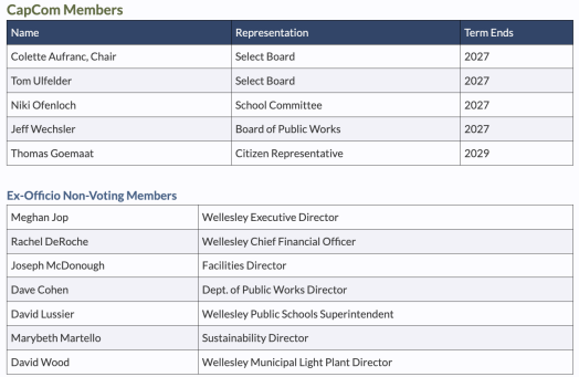 capcom members