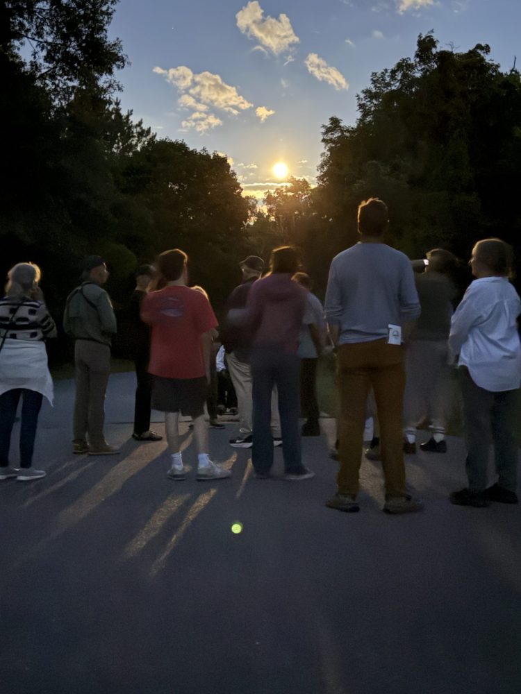 Wellesley Conservation Land Trust Bat Walk