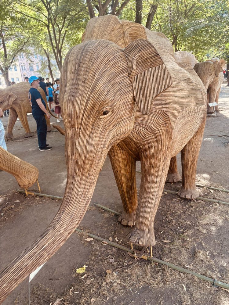 Great Elephant Migration Boston