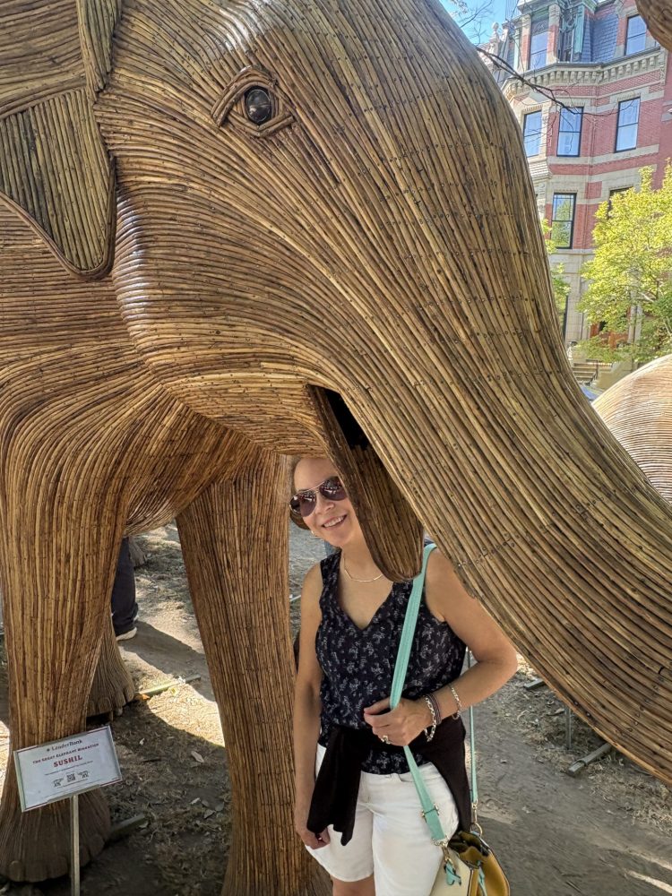 Great Elephant Migration Boston