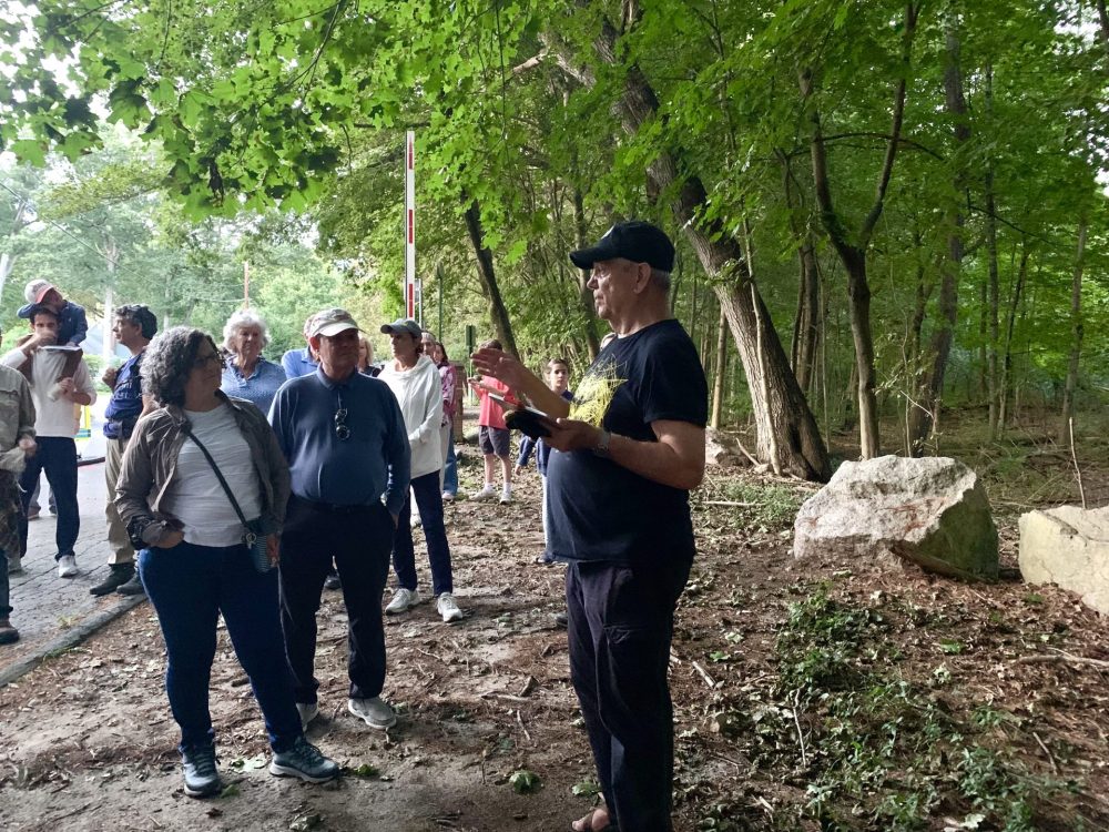 Wellesley Conservation Land Trust, bat walk