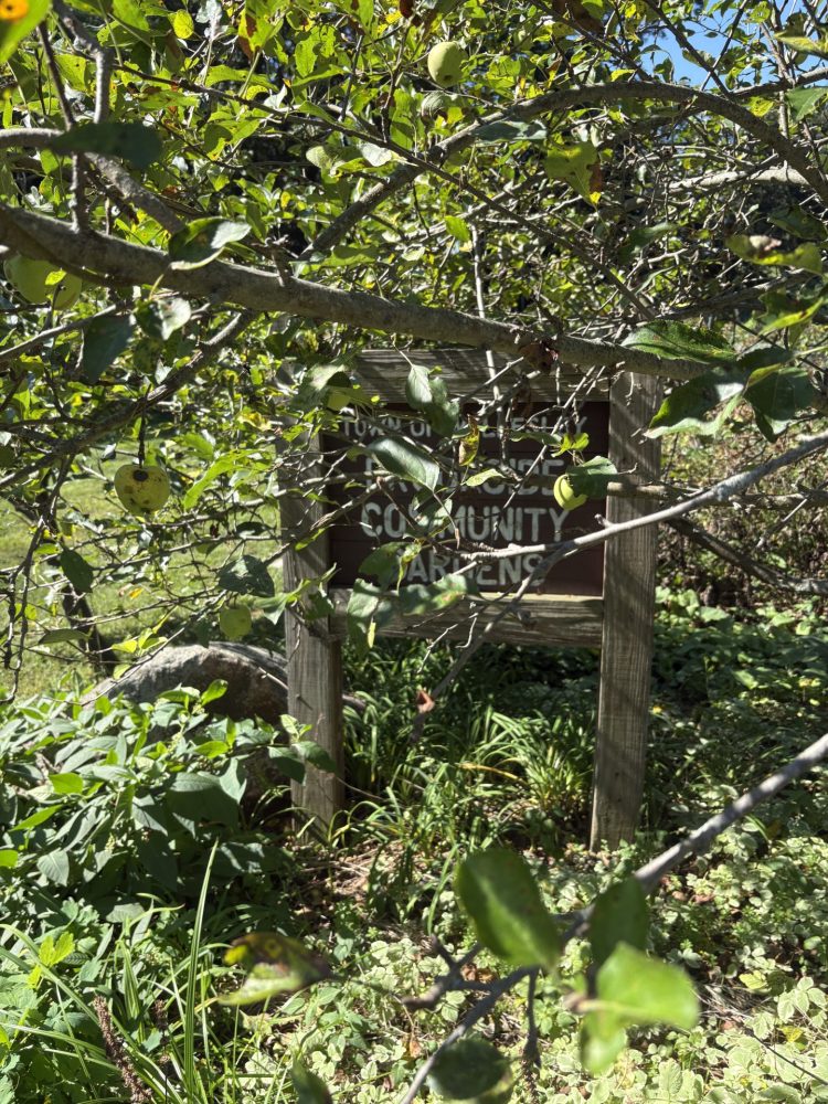 Brookside Community Gardens