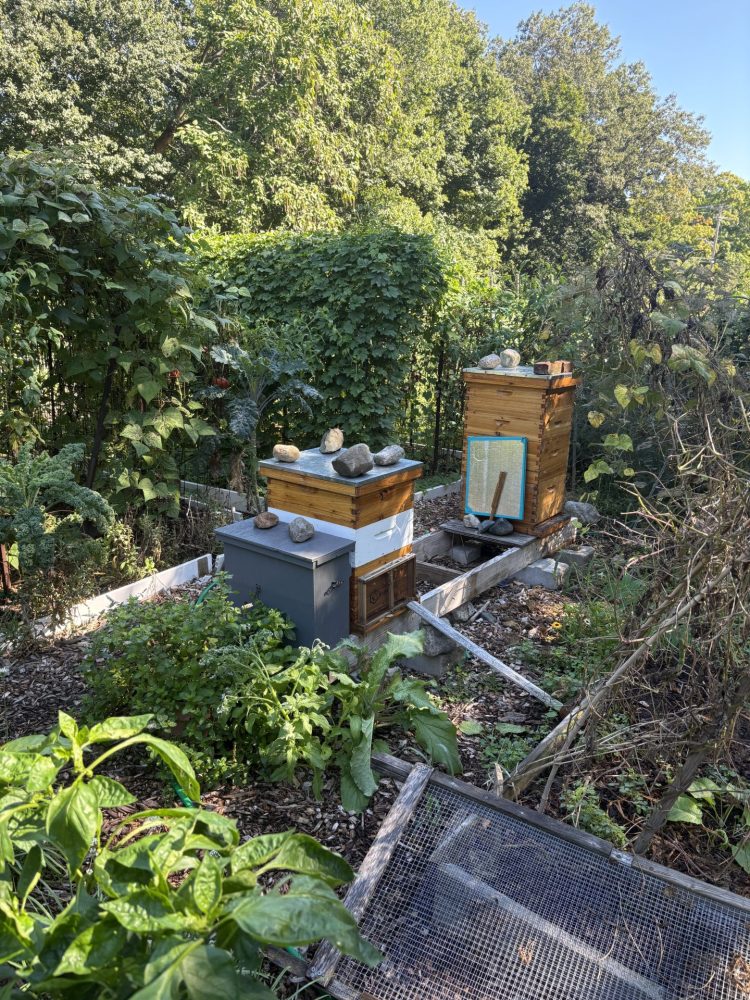 Brookside Community Gardens