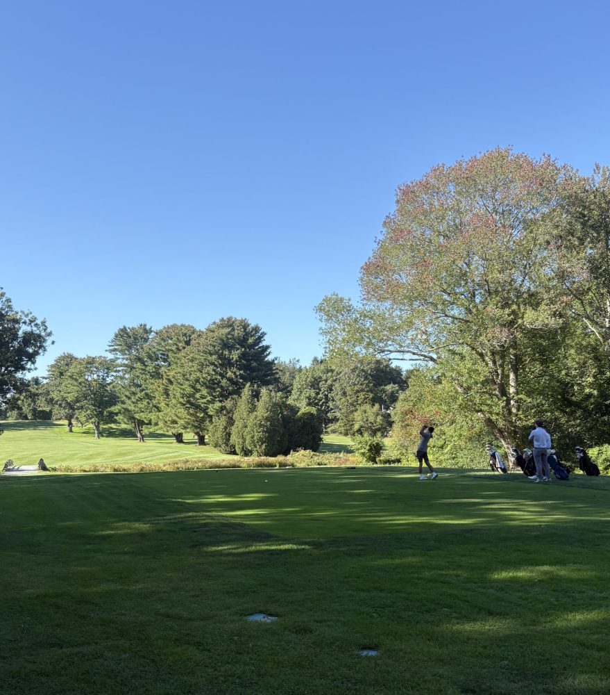 whs boys golf